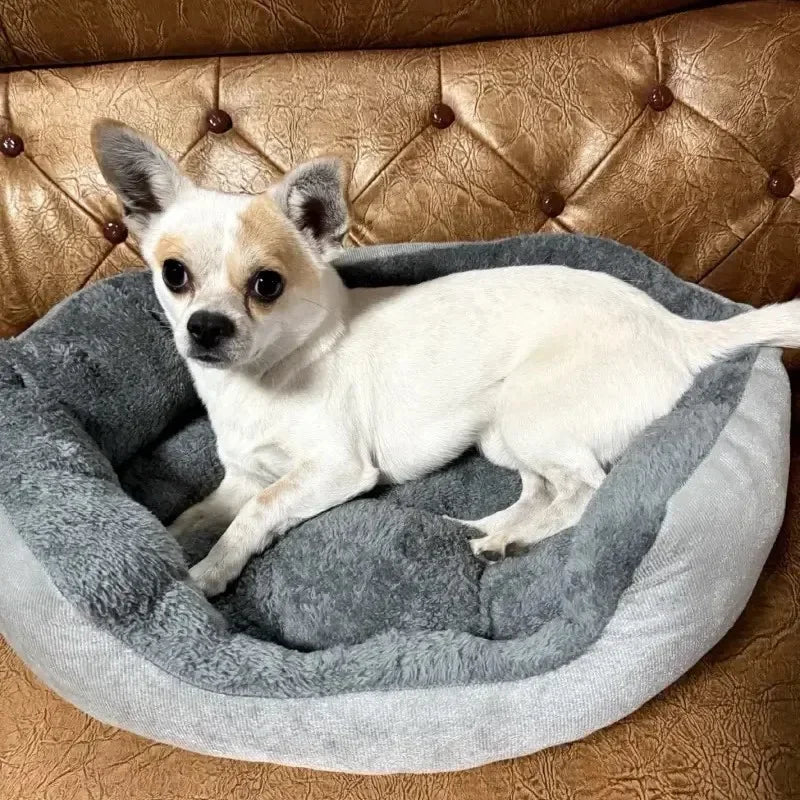 Caminha Pet Super Confortável 100% Algodão