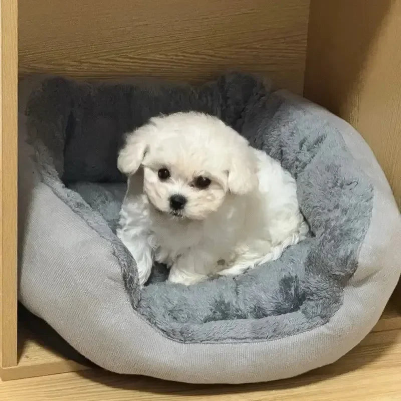 Caminha Pet Super Confortável 100% Algodão
