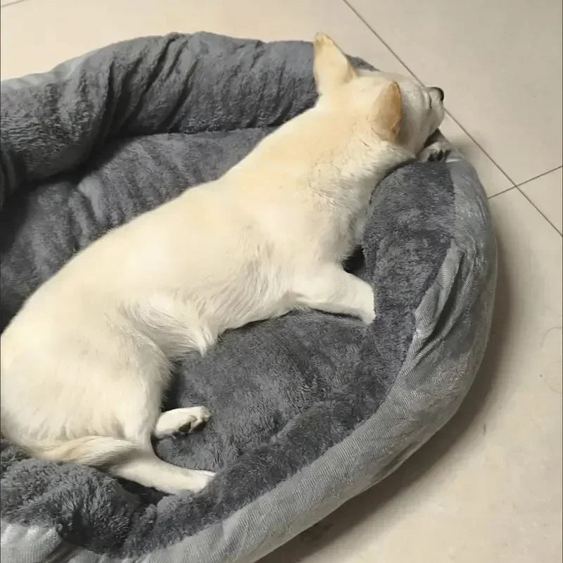 Caminha Pet Super Confortável 100% Algodão