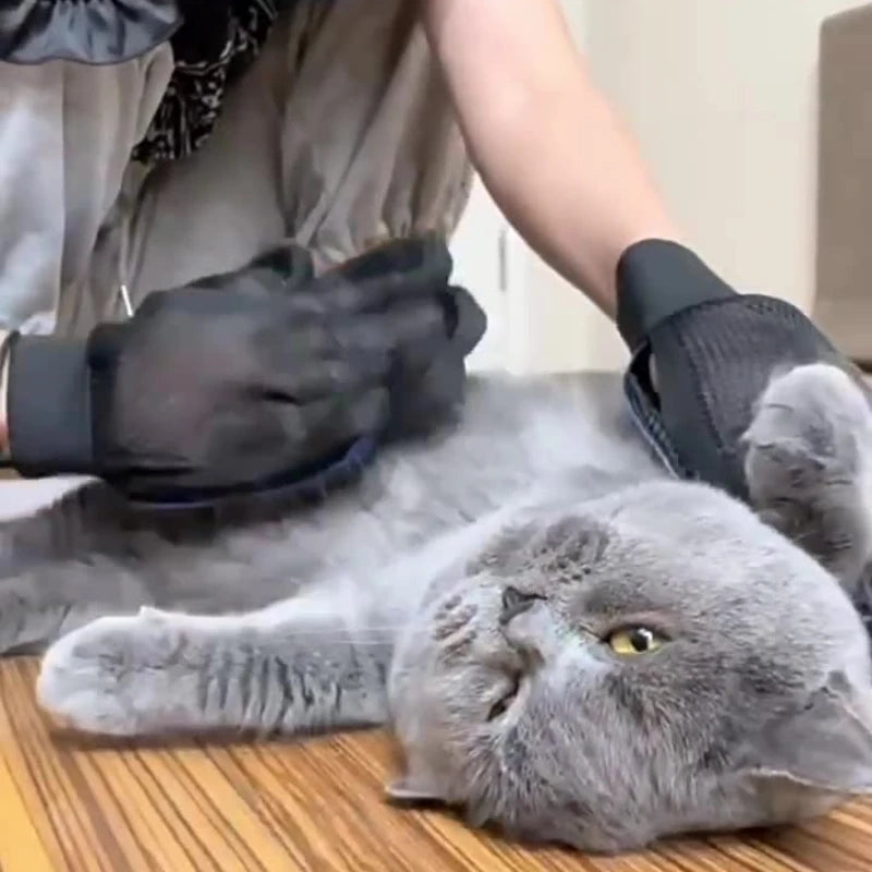 Luva de Remoção de Pelos com Massagem – Para Gatos e Cachorros | MOONBIFFY